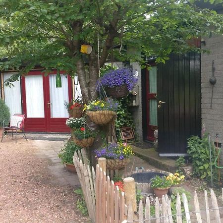 Bed And Breakfast Het Oude Bos Wijnjewoude Exterior foto
